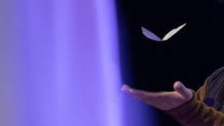 A performer holds a paper butterfly on a stick with their arm outstretched and they are smiling looking at it. There are white sheets Draped in the background.