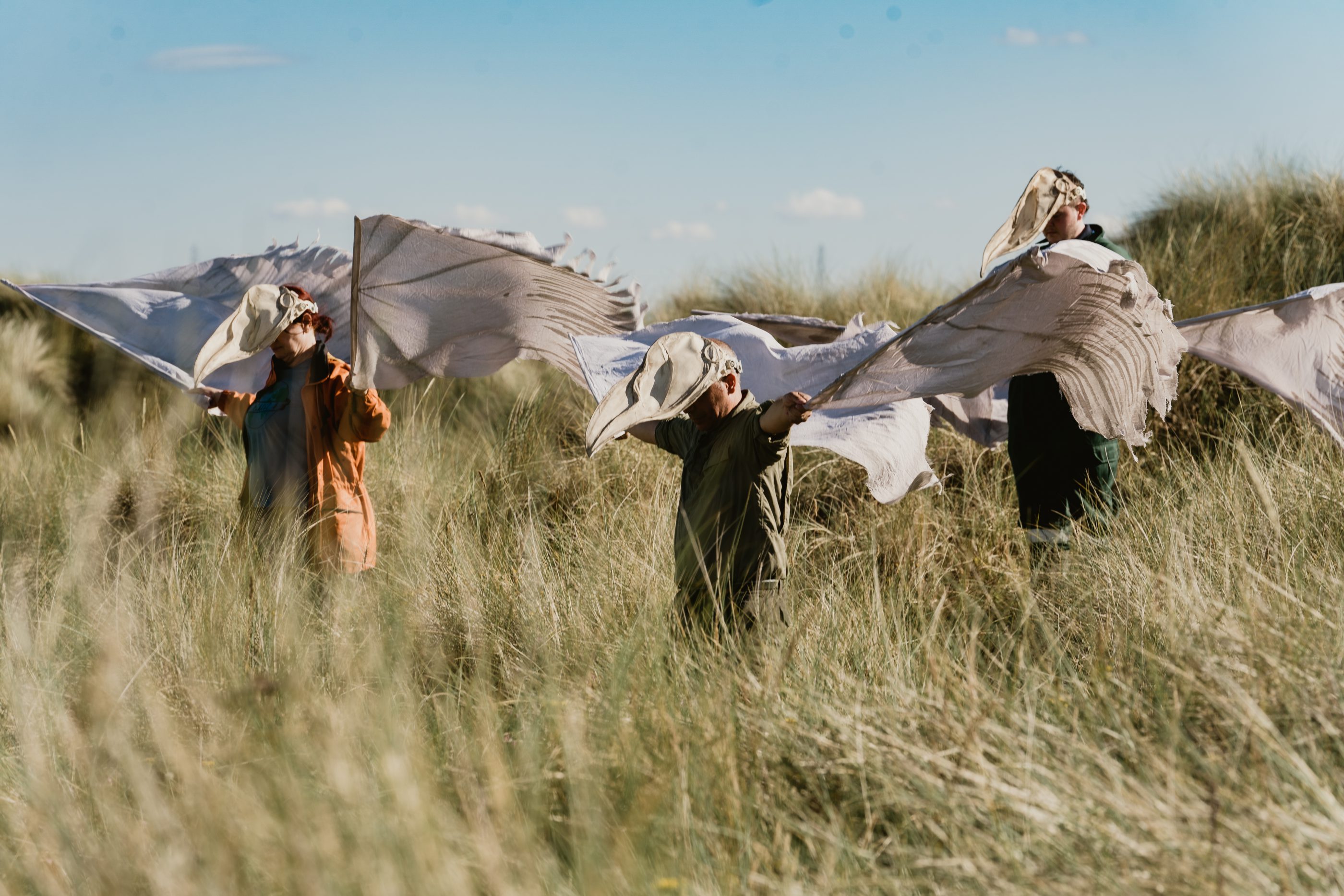 A long grassy landscape with three performers wearing bird skull masks and long flowing cloth wings, from Murmurations.