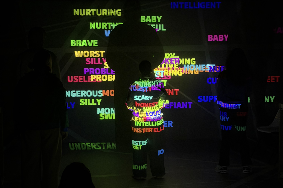 A number of colourful words projected onto a black backdrop with a shadow of a performer