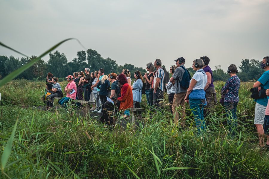 A group of people wearing headphones in Wicken Fen, fenland in East Anglia.