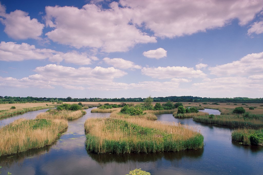 Strumpshaw Fen Pink sky and landscape