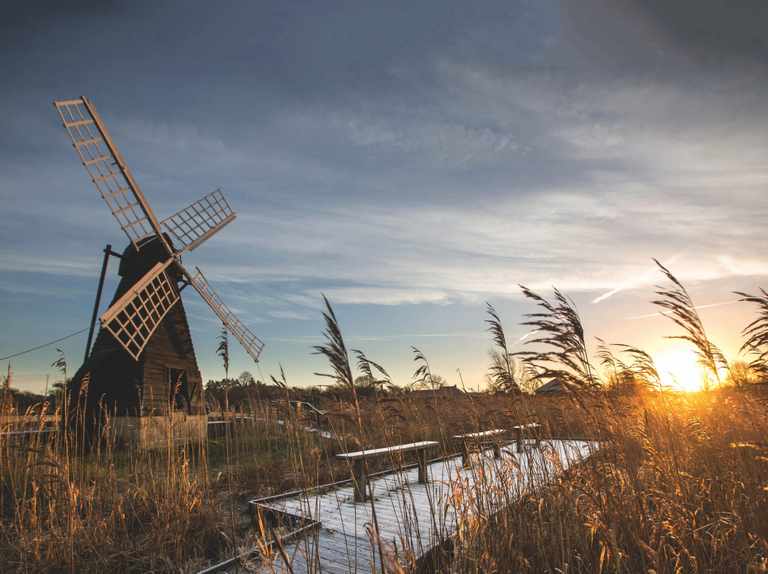 Wicken Fen Wicken Fen Windmill